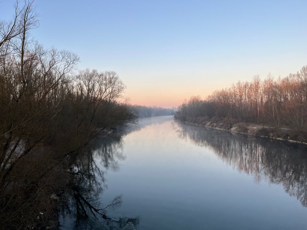 Good Morning Internet!