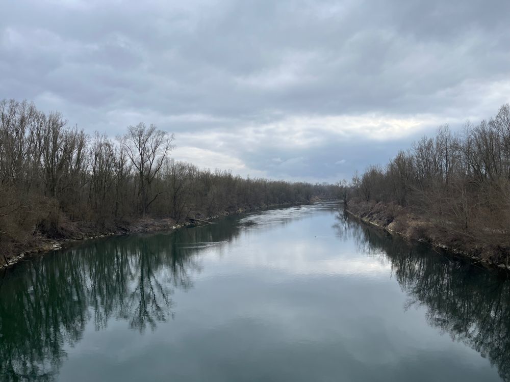 I’m proudly announcing that I just deactivated my X-account.