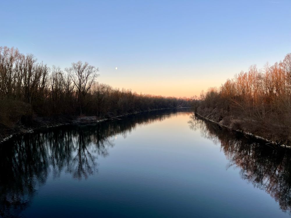 Good Morning Internet!