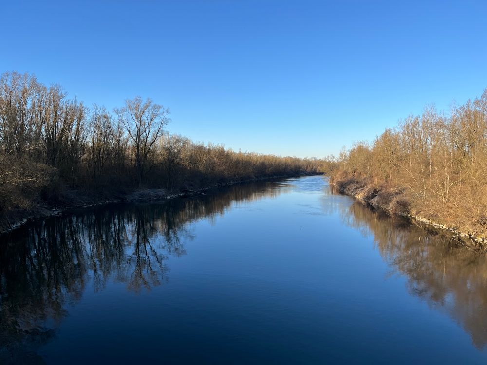 Good Morning Internet!